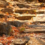 Chemin accidentée - Alentours de San Gil - 2014