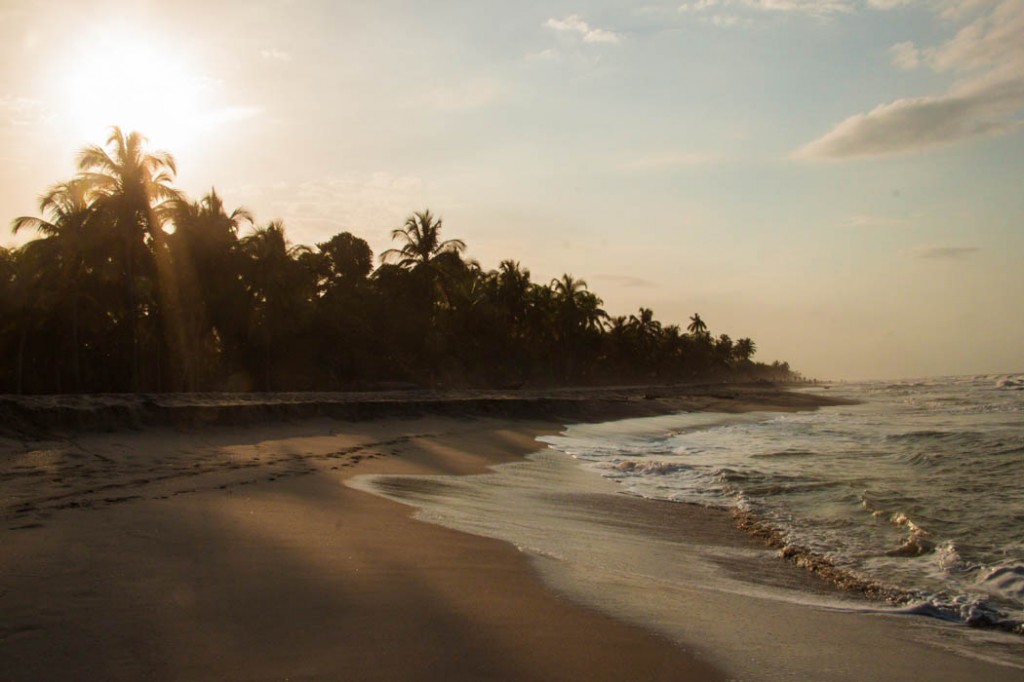 sunset on the beach - Palomino - 2014