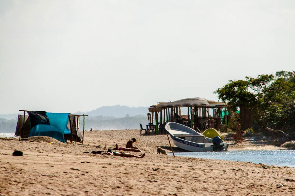 Entre la rivière et la mer - Palomino - 2014