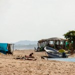 Entre la rivière et la mer - Palomino - 2014