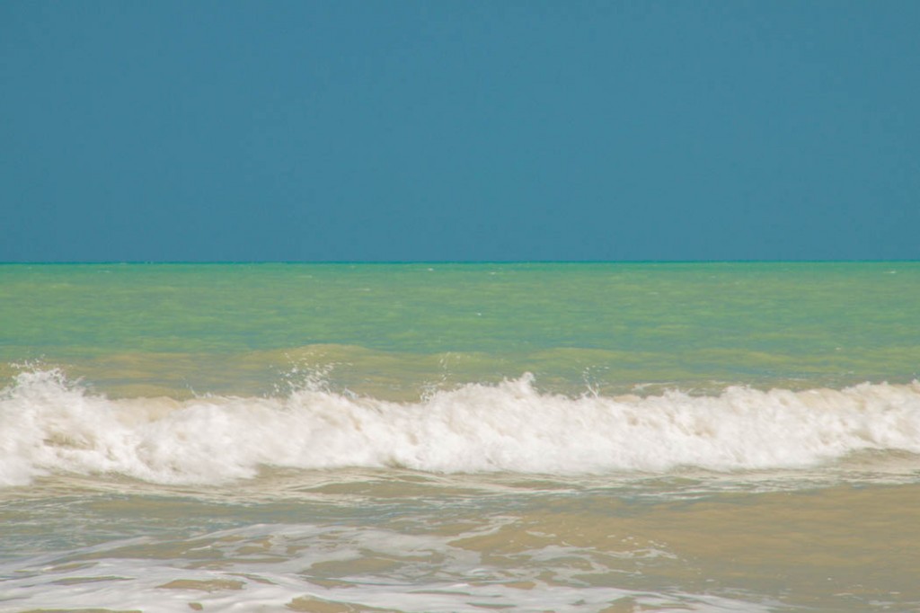 Camaieu de bleu - Palomino - 2014