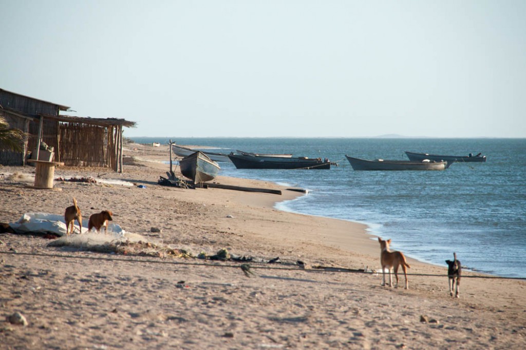 Playa - Cabo de la Vela 2014