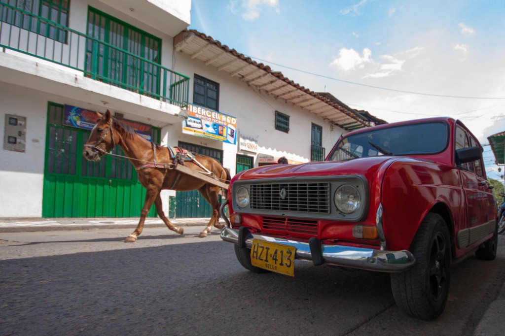 4L vs Horse