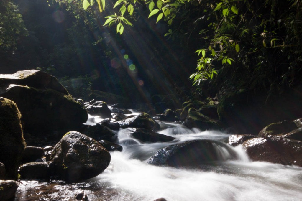 Cascade