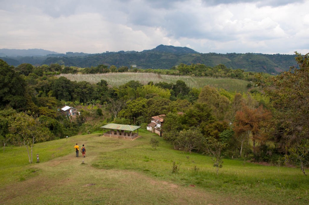 Chakira