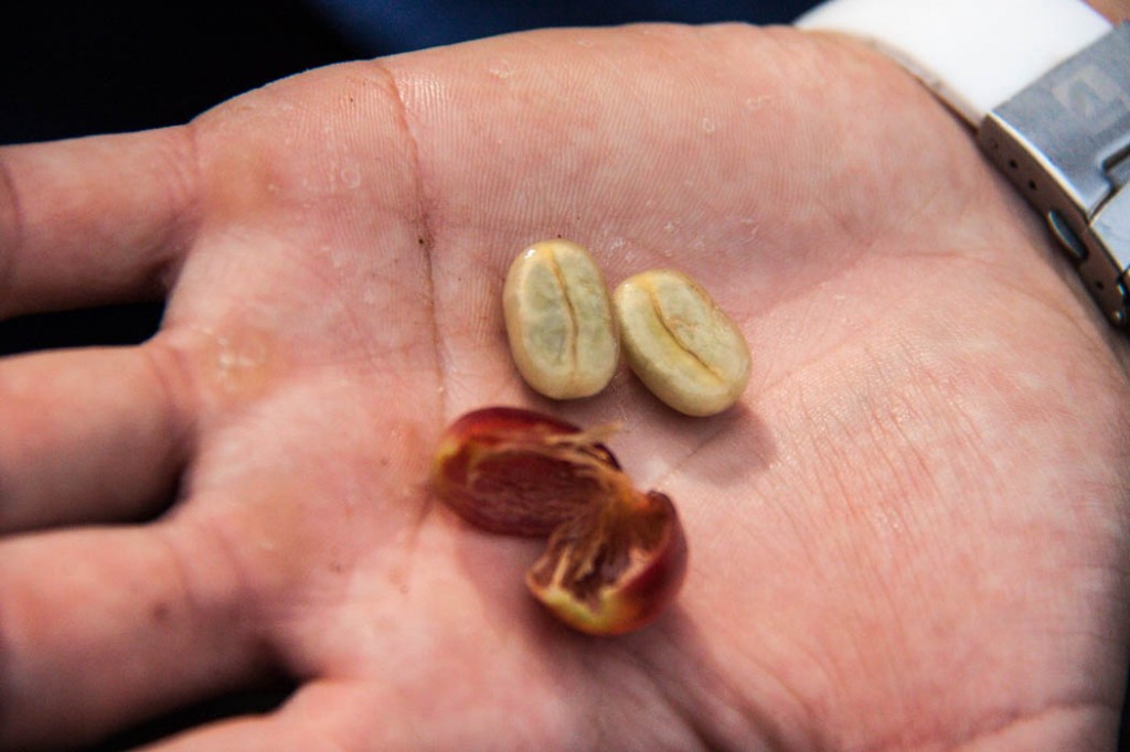 Grain de café