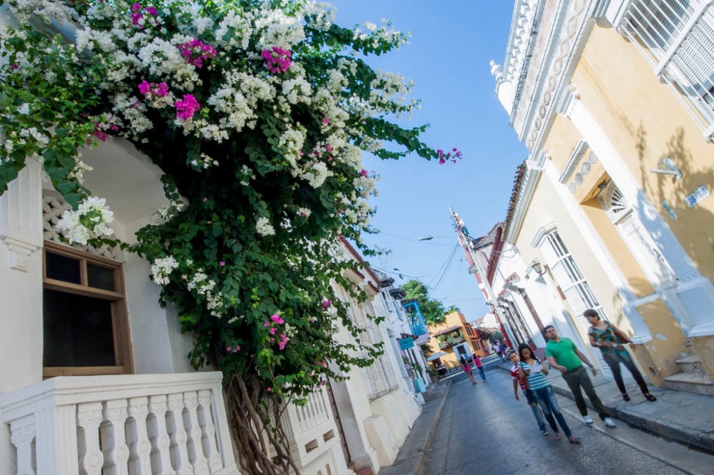 Calle fleurie - Cartagena 2014