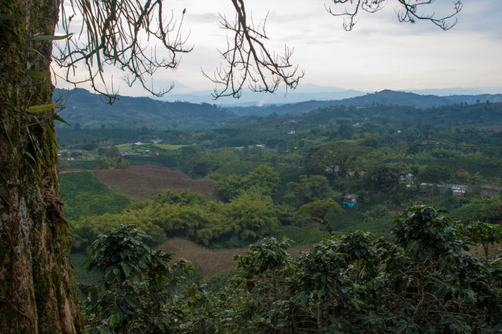 Paysage