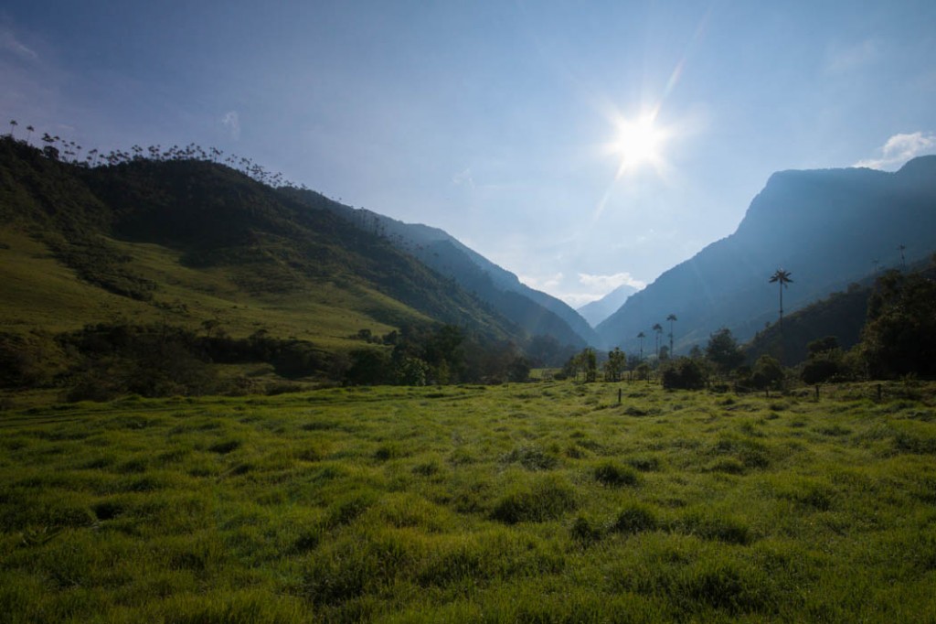 Valle del Cocora 1