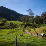 Valle del Cocora 2