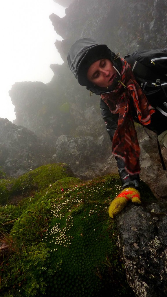 Ascension sous le brouillard