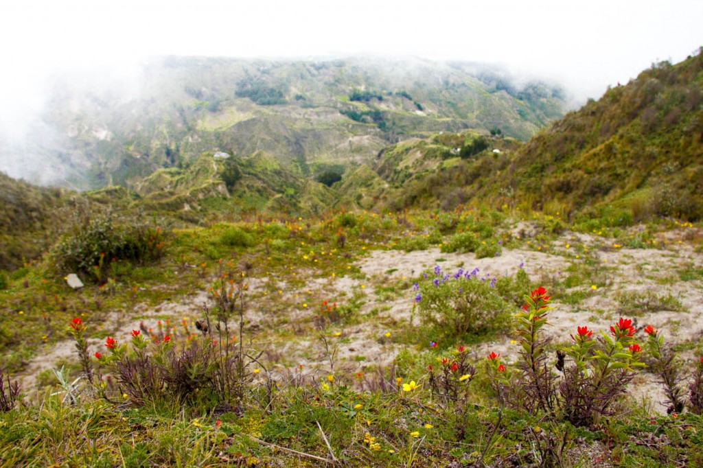 Couleur Paramo