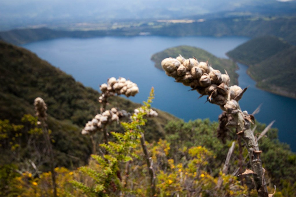 Cratère du volcan Cuicocha 3