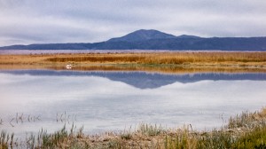 San Pedro de Atacama